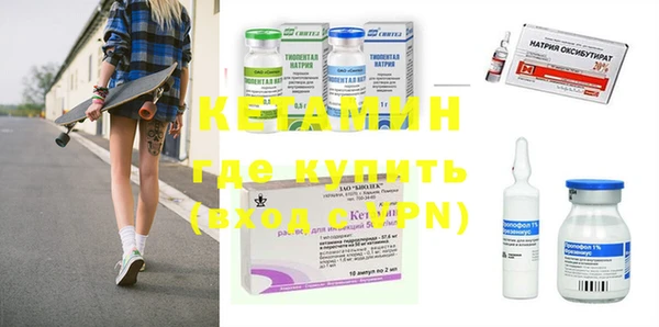 прущие грибы Медногорск