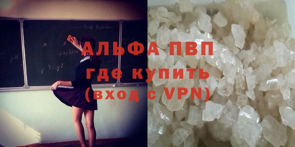 стаф Анжеро-Судженск