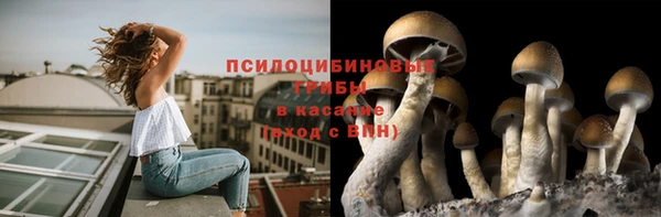 спайс Михайловск
