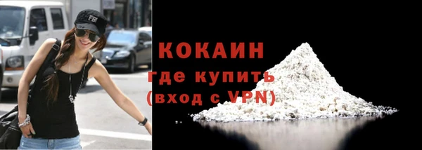 прущие грибы Медногорск