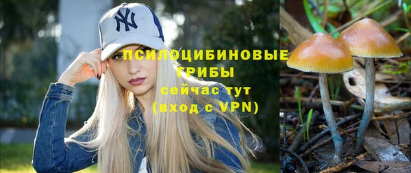 прущие крисы Михайлов